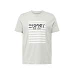 T-Shirt der Marke Esprit