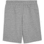 Shorts von Puma, in der Farbe Grau, aus Polyester, andere Perspektive, Vorschaubild