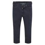 Herren-Jeans von Levi's Plus, in der Farbe Blau, aus Polyethylen, Vorschaubild