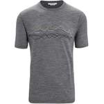 T-Shirt von Icebreaker, in der Farbe Grau, aus Baumwolle, andere Perspektive, Vorschaubild