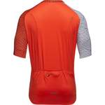 Fahrradtrikot von GOREWEAR, in der Farbe Orange, aus Polyester, andere Perspektive, Vorschaubild