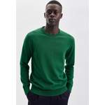 Herren-Pullover von seidensticker, in der Farbe Grün, aus Baumwolle, andere Perspektive, Vorschaubild