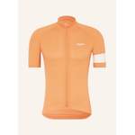 Rapha Radtrikot der Marke Rapha