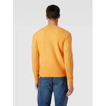 Herren-Pullover von PAUL & SHARK, in der Farbe Orange, aus Schurwolle, andere Perspektive, Vorschaubild