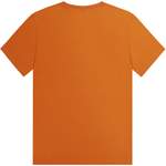 T-Shirt von Picture, in der Farbe Orange, aus Baumwolle, andere Perspektive, Vorschaubild