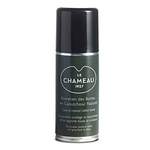 Le Chameau der Marke LE CHAMEAU 1927