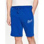 Champion Sportshorts der Marke Champion