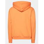 Sweatshirt von alpha industries, in der Farbe Orange, aus Polyester, andere Perspektive, Vorschaubild