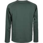 Langarm Shirt von alprausch, in der Farbe Grün, aus Baumwolle, andere Perspektive, Vorschaubild