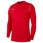 Training von Nike, in der Farbe Rot, aus Polyester, andere Perspektive, Vorschaubild