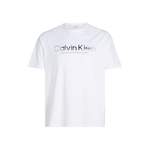 T-Shirt von Calvin Klein Big&Tall, in der Farbe Weiss, andere Perspektive, Vorschaubild