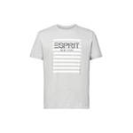 T-Shirt von Esprit, in der Farbe Grau, andere Perspektive, Vorschaubild