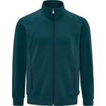 Herren-Sportjacke von SCHNEIDER SPORTSWEAR, in der Farbe Grün, aus Polyester, andere Perspektive, Vorschaubild