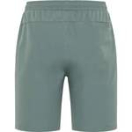 Shorts von Joy, in der Farbe Grün, aus Polyester, andere Perspektive, Vorschaubild