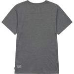 T-Shirt von Picture, in der Farbe Grau, aus Baumwolle, andere Perspektive, Vorschaubild