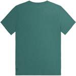 T-Shirt von Picture, in der Farbe Grün, aus Baumwolle, andere Perspektive, Vorschaubild