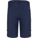 Shorts von Salewa, in der Farbe Blau, aus Elasthan, andere Perspektive, Vorschaubild