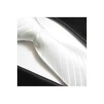 Krawatte von Paul Malone, in der Farbe Weiss, aus Seide, andere Perspektive, Vorschaubild