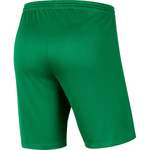 Fußballhose von Nike, in der Farbe Grün, aus Polyester, andere Perspektive, Vorschaubild