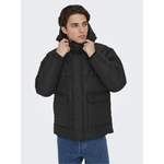 Steppjacke von Only & Sons, in der Farbe Schwarz, aus Polyester, andere Perspektive, Vorschaubild