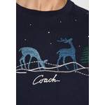 T-Shirt von Coach, in der Farbe Blau, andere Perspektive, Vorschaubild