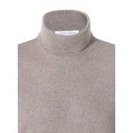 Rollkragenpullover von Gran Sasso, in der Farbe Beige, andere Perspektive, Vorschaubild