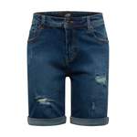 Jeans 'Mr. der Marke Denim Project