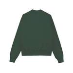 Sweatshirt von Colmar, in der Farbe Grün, andere Perspektive, Vorschaubild