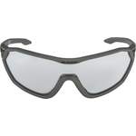 Herren-Sonnenbrille von Alpina Sports, andere Perspektive, Vorschaubild