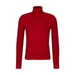 Rollkragenpullover von Replay, in der Farbe Rot, andere Perspektive, Vorschaubild