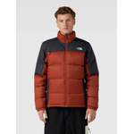 Steppjacke von The North Face, in der Farbe Rot, aus Nylon, andere Perspektive, Vorschaubild