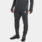 Herren-Sporthosen von Under Armour, in der Farbe Grau, aus Polyester, Vorschaubild
