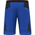 Shorts von Salewa, in der Farbe Blau, aus Elasthan, andere Perspektive, Vorschaubild