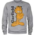 Garfield Rundhalspullover der Marke Garfield