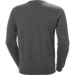Sweatshirt von HELLYHANSEN, in der Farbe Grau, aus Polyester, andere Perspektive, Vorschaubild