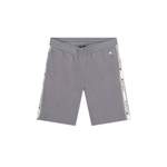 Shorts von Champion, in der Farbe Grau, aus Baumwolle, andere Perspektive, Vorschaubild