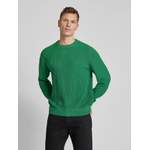 Herren-Pullover von ANNARR, in der Farbe Grün, aus Baumwolle, andere Perspektive, Vorschaubild