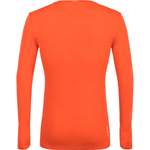 Langarm Shirt von Salewa, in der Farbe Orange, aus Polyamid, andere Perspektive, Vorschaubild