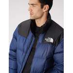 Daunenjacke von The North Face, in der Farbe Blau, aus Polyester, andere Perspektive, Vorschaubild