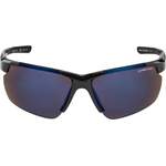 Herren-Sonnenbrille von Alpina Sports, in der Farbe Schwarz, aus Material-mix, andere Perspektive, Vorschaubild