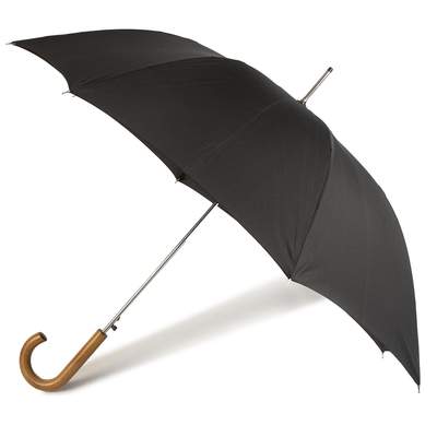 Herren-Regenschirme im Preisvergleich | Günstig kaufen Ladendirekt bei