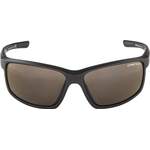 Herren-Sonnenbrille von Alpina Sports, in der Farbe Braun, aus Material-mix, andere Perspektive, Vorschaubild