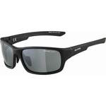 Herren-Sonnenbrille von Alpina Sports, in der Farbe Grau, aus Material-mix, Vorschaubild