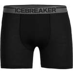 ICEBREAKER Herren der Marke Icebreaker