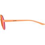 Herren-Sonnenbrille von Alpina Sports, in der Farbe Braun, aus Material-mix, andere Perspektive, Vorschaubild