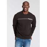 DELMAO Sweatshirt der Marke DELMAO