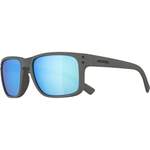 Herren-Sonnenbrille von Alpina Sports, in der Farbe Grau, aus Kunststoff, andere Perspektive, Vorschaubild
