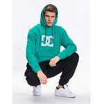 Sweatshirt von DC, in der Farbe Grün, andere Perspektive, Vorschaubild