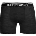 ICEBREAKER Herren der Marke Icebreaker