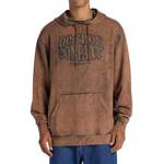 Sweatshirt von DC Shoes, in der Farbe Braun, aus Polyester, andere Perspektive, Vorschaubild